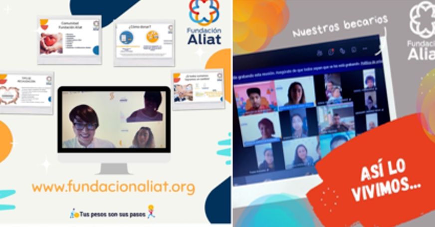 Reunión Virtual de Becarios Fundación Aliat Fundación Ali